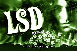 LSD的真相 LSD的真相