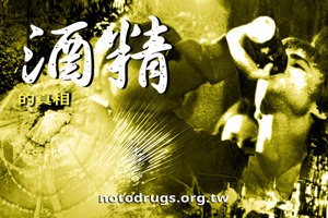 酒精的真相 酒精的真相